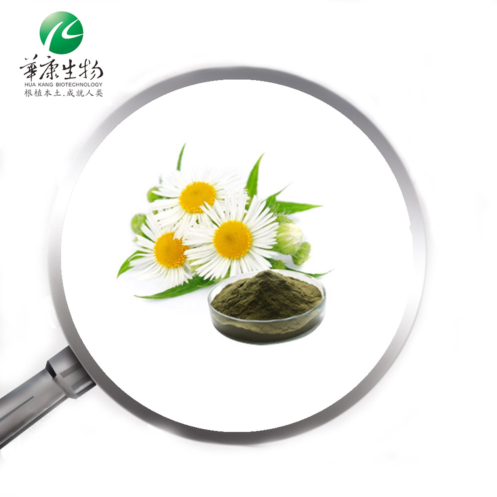 Y 洋甘菊