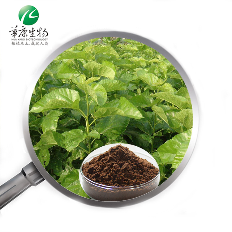 S 桑叶提取物