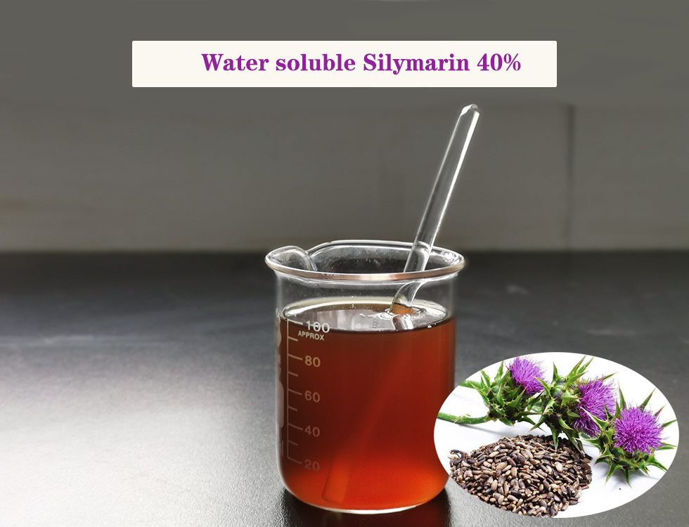 Water Soluble Milk Thistle Extract Водорастворимый экстракт расторопши