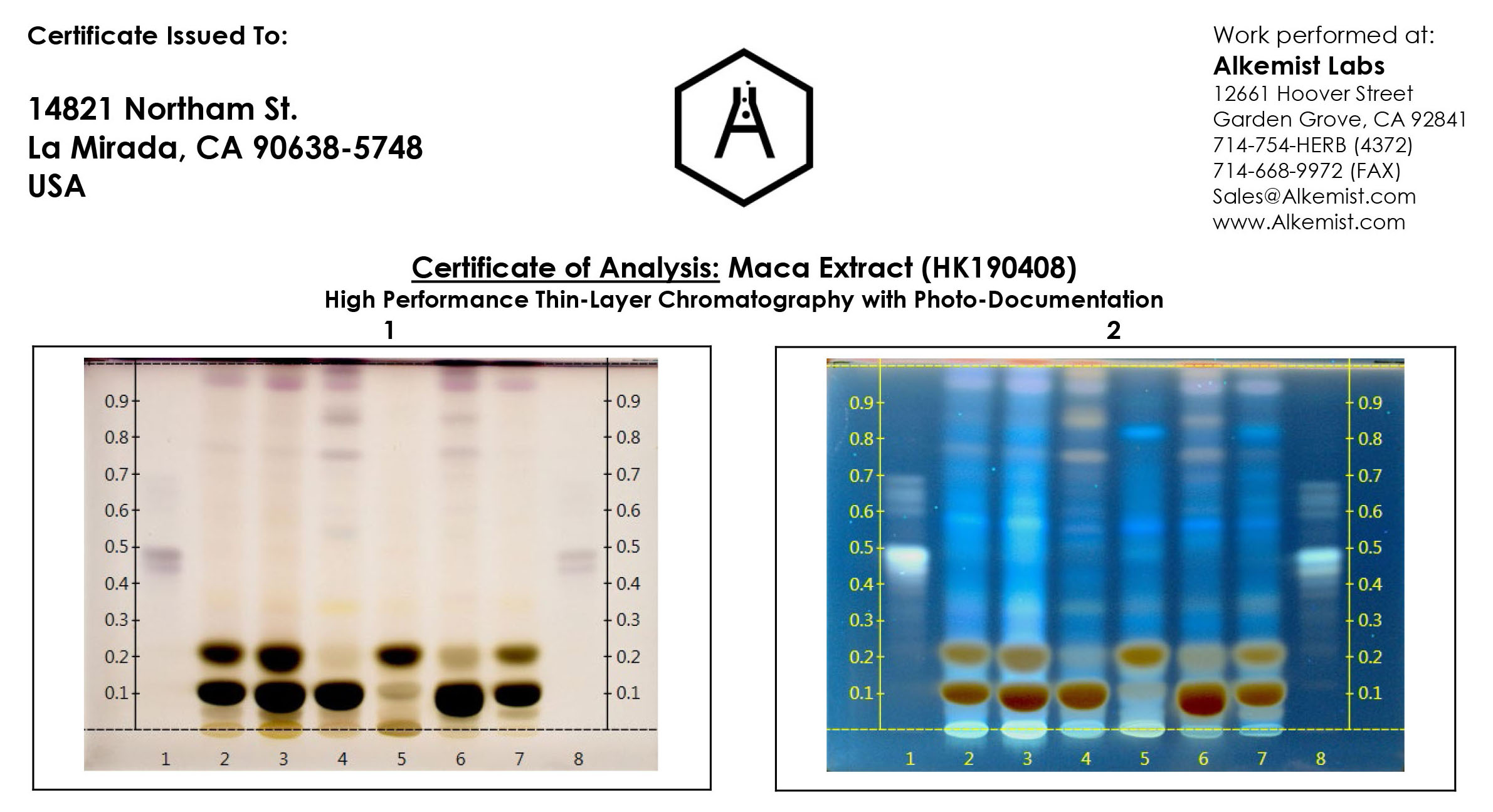 Экстракт маки (экстракт Lepidium meyenii) Отчет об ID-тестировании ВЭТСХ -- Hunan Huakang Biotech Inc