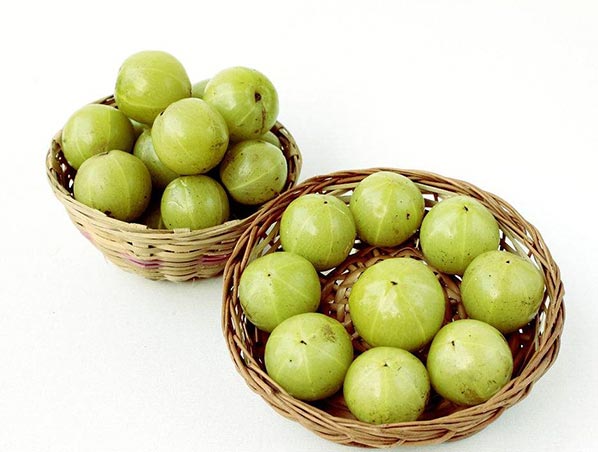 Экстракт Амлы 