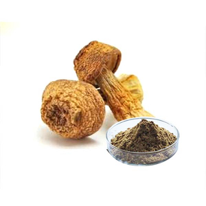 Экстракт медицинского гриба Agaricus Blazei