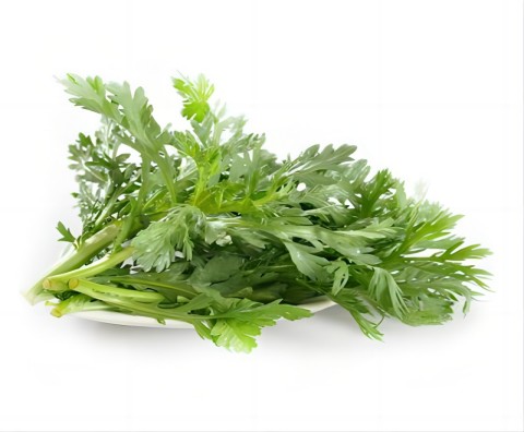 Экстракт Artemisia Annua 99% Артемизинин, противомалярийное и медицинское применение