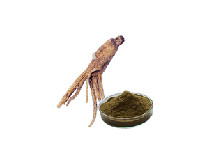 Экстракт Анжелики