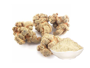 Экстракт корня женьшеня Panax
