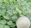 Транс-ресвератрол / экстракт Polygonum Cuspidatum