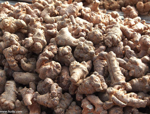 Экстракт корня женьшеня Panax