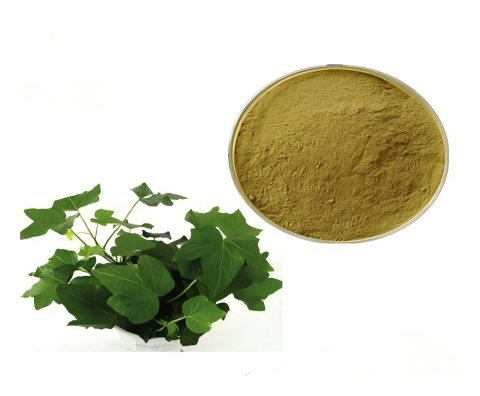 Экстракт листьев плюща 1%-10% гедеракозидов/экстракт Hedera Helix гедеракозид C