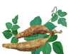 Экстракт корня Кудзу