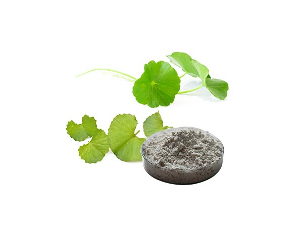 Экстракт Готу Кола