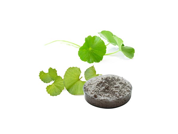 Экстракт Готу Кола