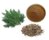 Порошок экстракта листьев Platycladus Orientalis