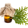 Порошок экстракта листьев Platycladus Orientalis